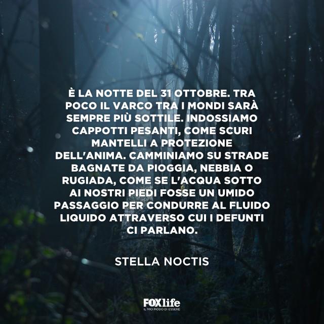 Frase Noctis Bosco tetro