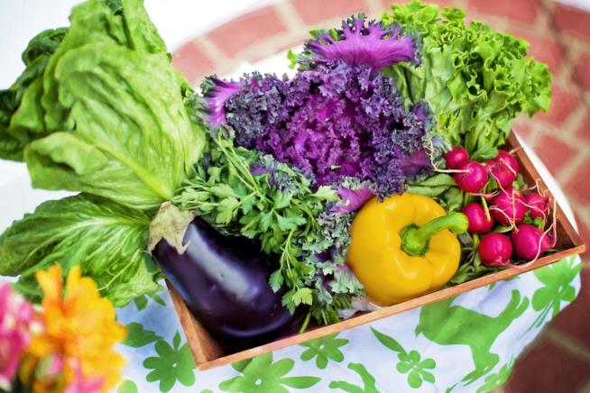 Vegetariani meno in salute degli onnivori Verdure, dieta vegetariana