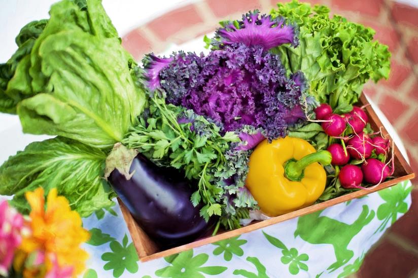 Vegetariani meno in salute degli onnivori Verdure, dieta vegetariana