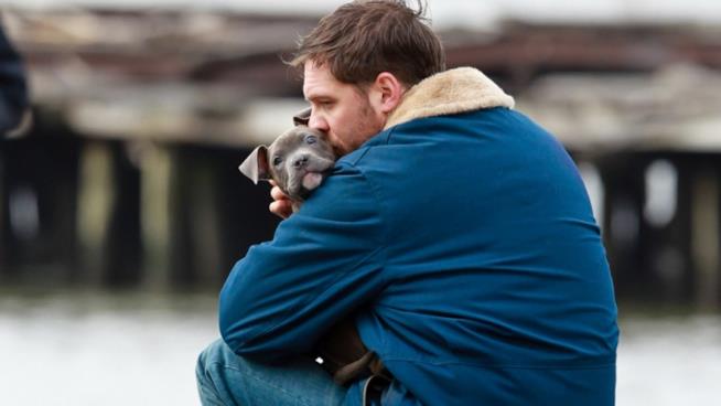 Tom Hardy con un cucciolo Tom Hardy bacia un cucciolo che tiene in braccio