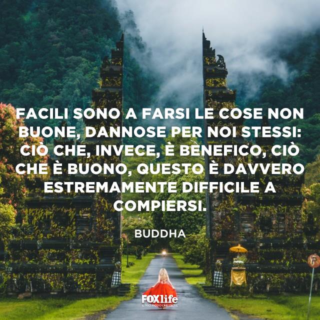 Difficile è compiere del bene Donna cammina verso un cancello