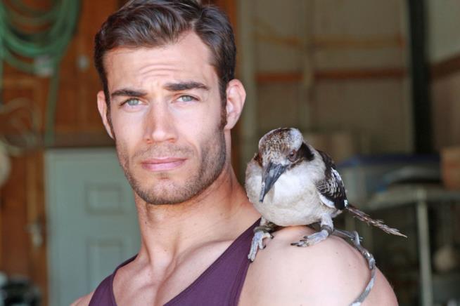 Il dr Evan Antin con un volatile Il veterinario Evan Antin con un volatile sulla spalla