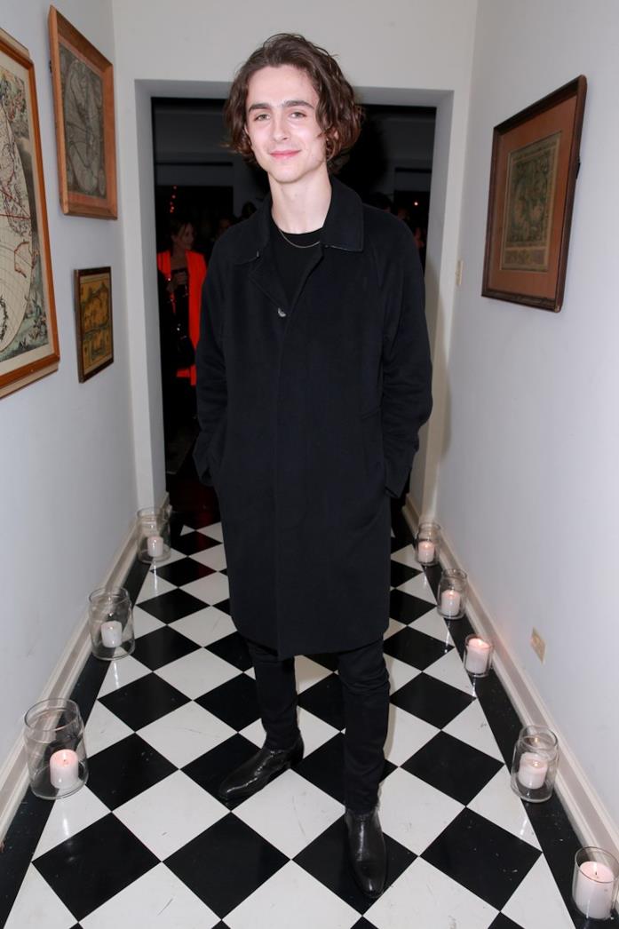 L'attore Timothée Chalamet Timothée Chalamet