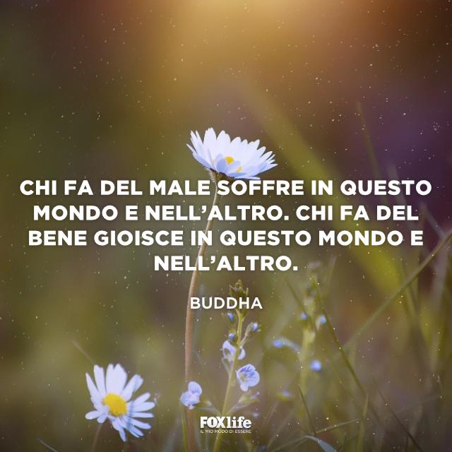 Se fai del male soffrirai in tutti i mondi Margherite in un prato