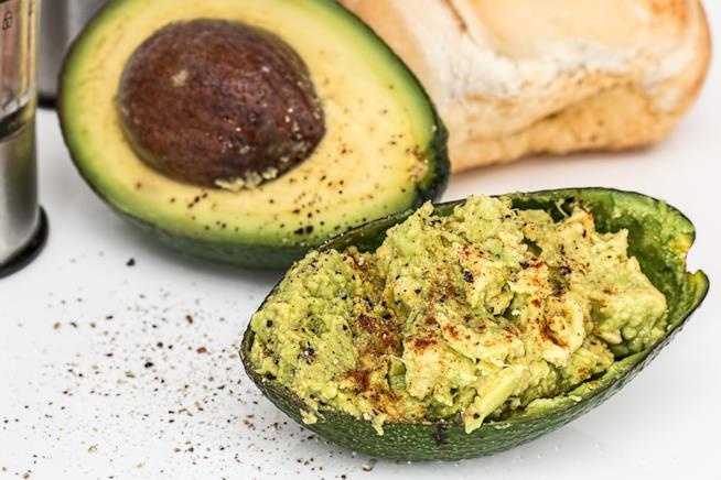Avocado Frutta verde