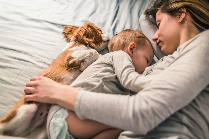 Vivere con cani e bambini Cucciolo dorme con un bambino