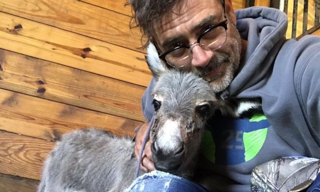 Jeffrey Dean Morgan con il piccolo Paxton L'attore Jeffrey Dean Morgan e l'asinello Paxton