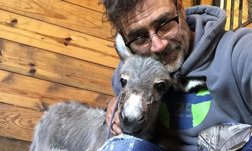 Jeffrey Dean Morgan con il piccolo Paxton L'attore Jeffrey Dean Morgan e l'asinello Paxton