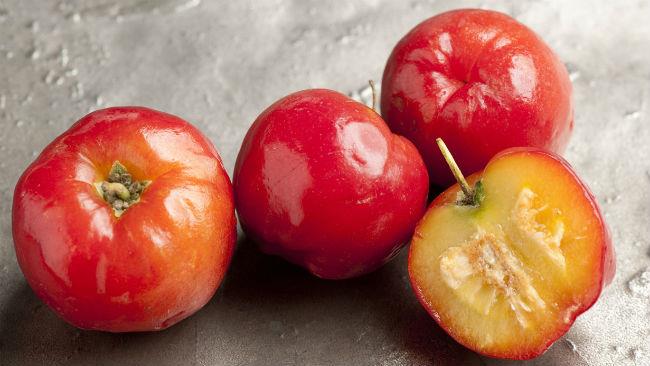 L'acerola è preziosa per il suo contenuto di vitamina C L'acerola è il frutto con maggior contenuto di vitamina C