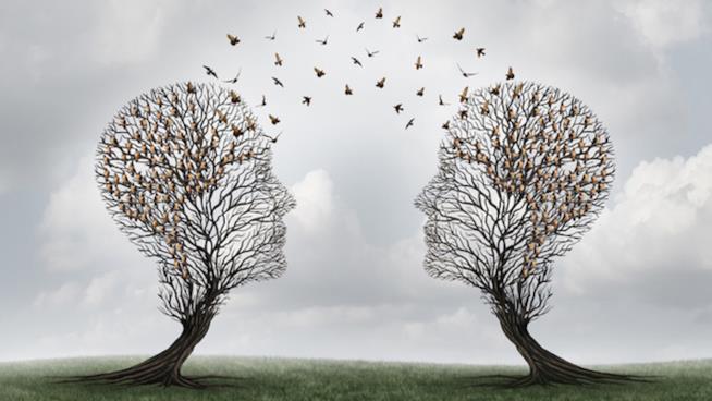 Due alberi a forma di volti che condividono i pensieri Un'immagine di due alberi a forma di volti che condividono i pensieri grazie agli uccelli
