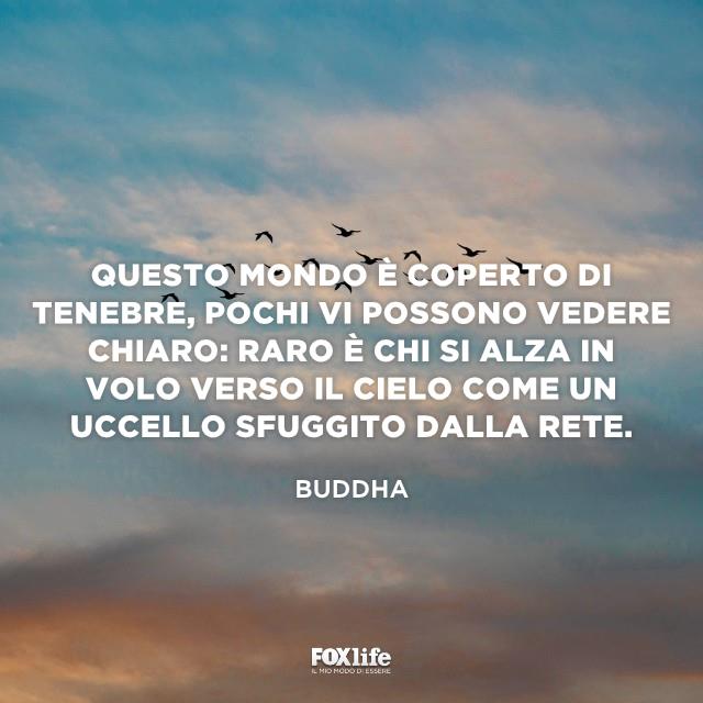 Mondo coperto di tenebre Stormo di uccelli in volo