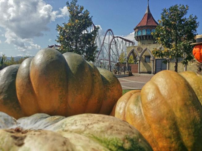 I party dove andare per festeggiare Halloween Halloween al Rainbow MagicLand