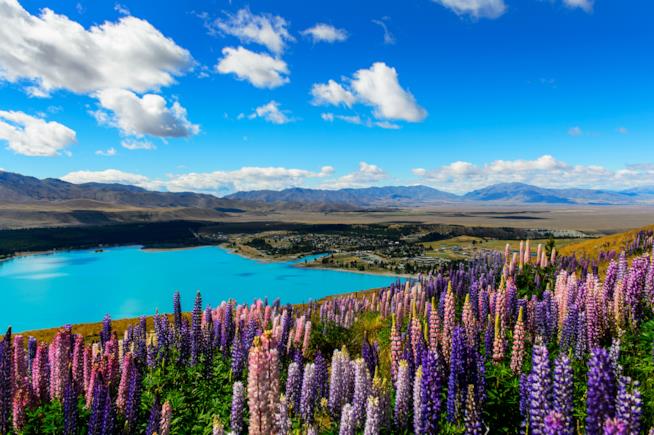 Lago Tekapo in Nuova Zelanda Panorama del lago Tekapo in Nuova Zelanda