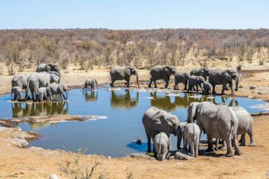 Tour con campo tendato nel deserto in Sudafrica e Namibia