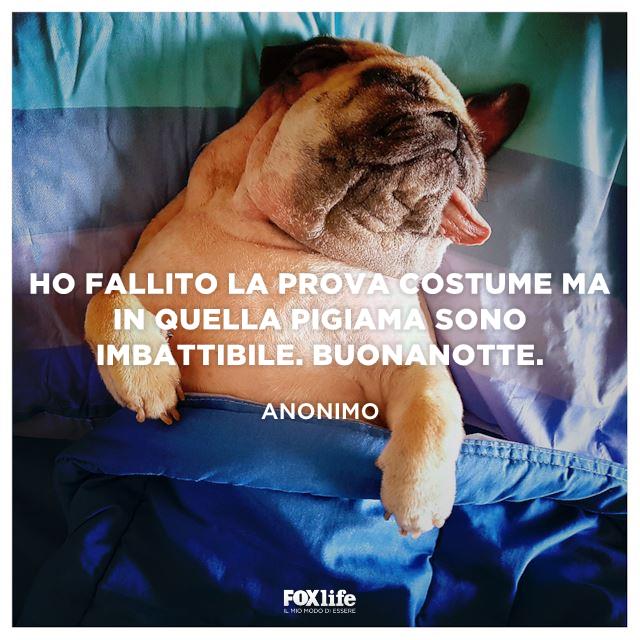 Frase sulla prova pigiama Cucciolo di cane che dorme