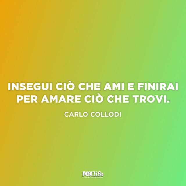 Citazione Collodi Frase di Carlo Collodi