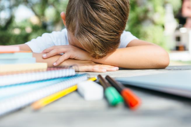 Disperazione da compiti Compiti estivi che tortura