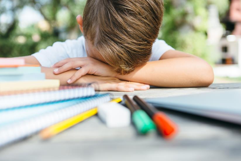 Disperazione da compiti Compiti estivi che tortura