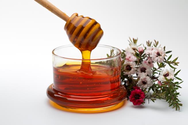 Il miele di Manuka e tutte le sue proprietà curative miracolose Scopriamo cos'è il miele di Manuka e le sue proprietà curative