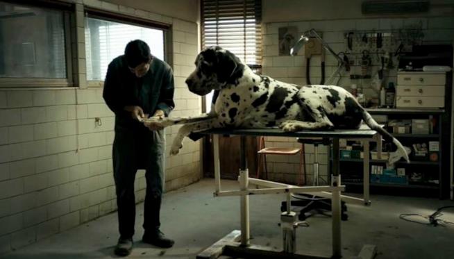 Dogman agli Oscar 2018 Una scena di Dogman