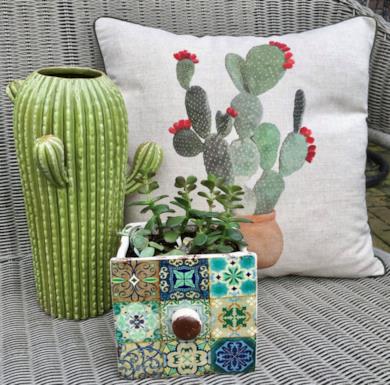 Cuscino a tema cactus