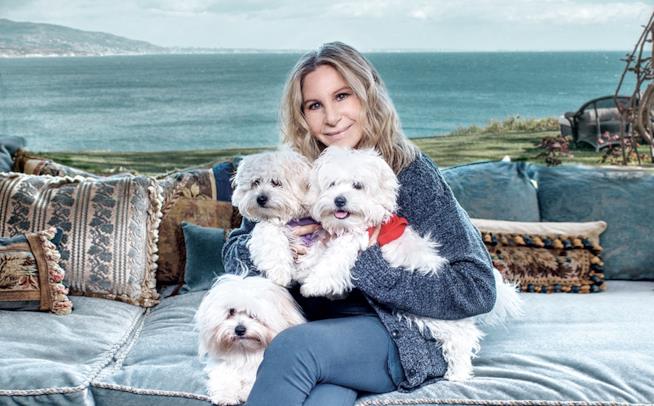Barbra Streisand ed i suoi cani, di cui sono cloni della defunta Sammie Barbra Streisand ed i suoi tre cani Miss Scarlett, Miss Violet e Miss Fanny