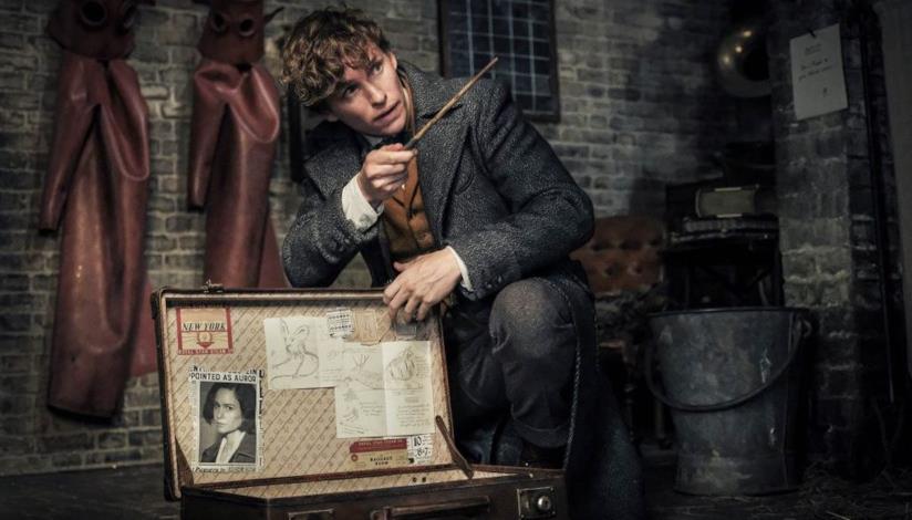 Eddie Redmayne è Newt Scamander in Animali fantastici: I Crimini di Grindelwald Eddie Redmayne in Animali fantastici i Crimini di Grindwald