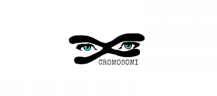 Cromosomi Cromosomi: cover del progetto di Claudia Larì