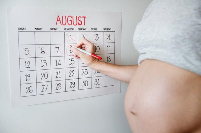 Calcolo del periodo fertile Ragazza incinta