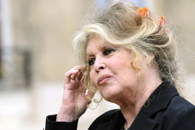 Brigitte Bardot esprime il proprio punto di vista sulle molestie sessuali Brigitte Bardot