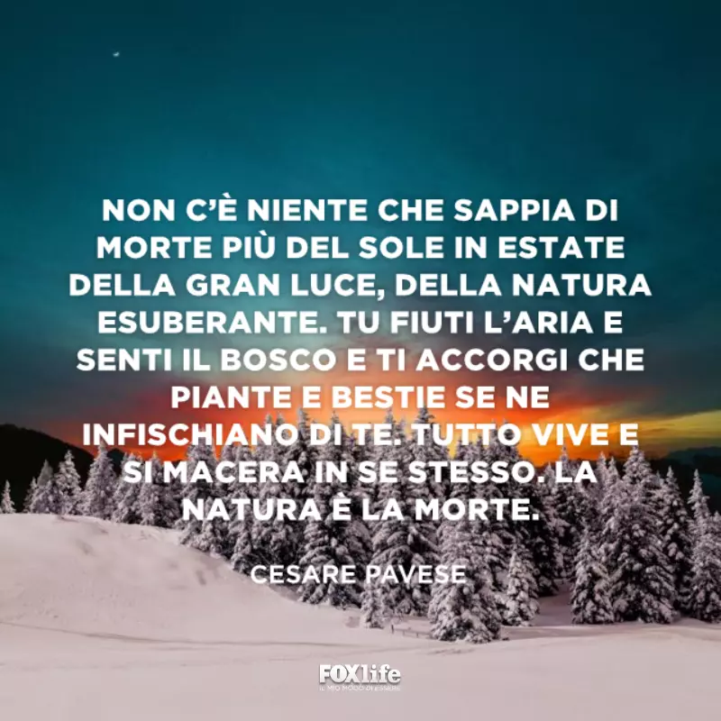 Frasi morte Paesaggio invernale