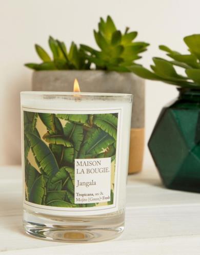 Candela con foglie di giungla