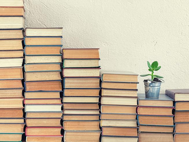 Mamma Manager, i libri che possono aiutare nell'impresa Libri accatastati con piantina