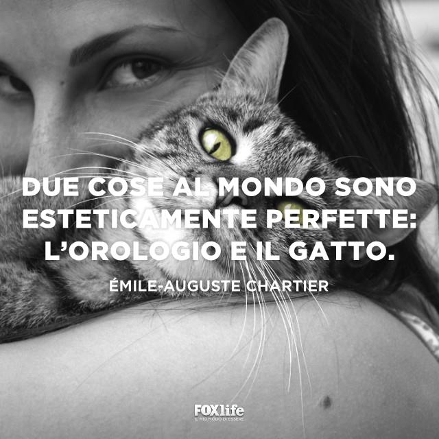 Frase Chartier Gatto con la testa sulla spalla di una donna