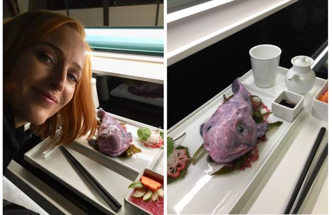 Animali più strani del mondo: Il pesce blobfish in una scena di X Files Il pesce blobfish in una scena di X Files