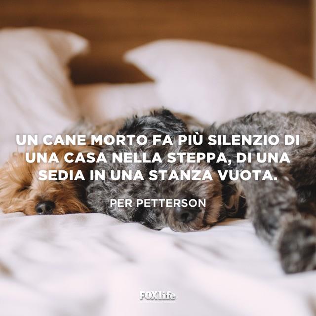 Frase Petterson Due cani dormono sul letto vicini