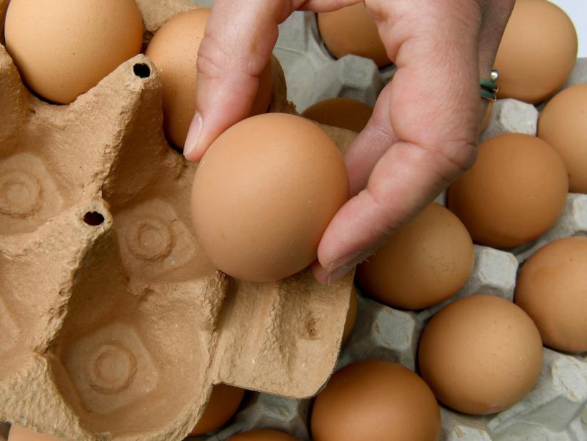 Estate e non solo: i cibi da non mangiare mai senza averli cotti. Uova.