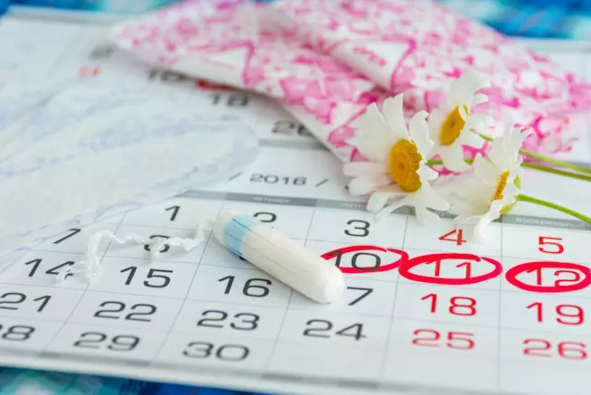 Risultati immagini per ciclo femminile
