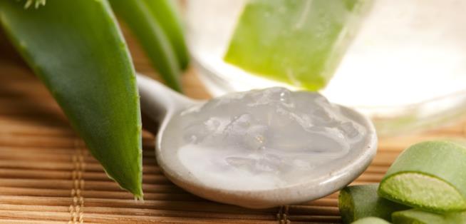 Succo e gel di aloe vera per l'organismo L'aloe vera, un ottimo rimedio naturale