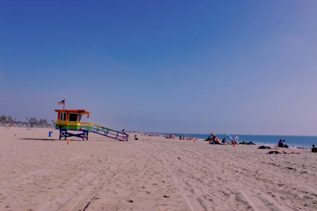 Sulla spiaggia di Venice Venice Beach