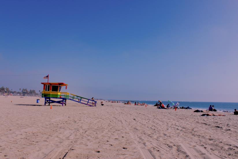 Sulla spiaggia di Venice Venice Beach
