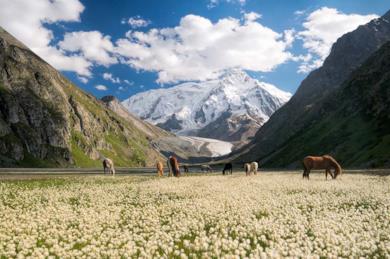 Tour tra le montagne del Kirghizistan