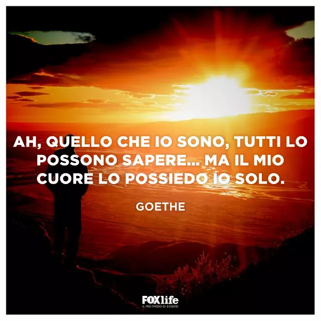 Goethe: le frasi e i libri più belli nel giorno della nascita Citazione