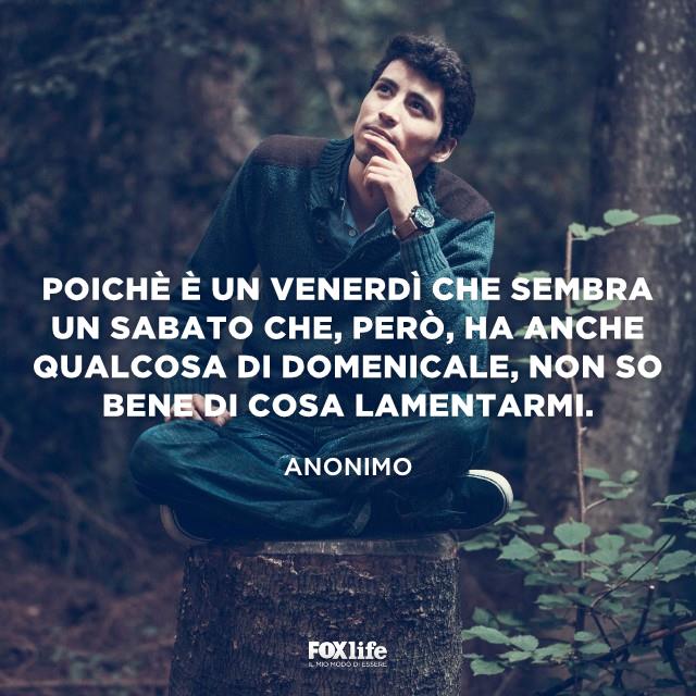 Non so di che lamentarmi Ragazzo seduto in un bosco con aria pensierosa
