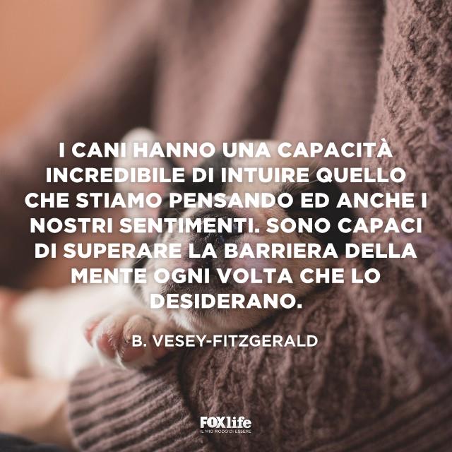 Frase B. Vesey Cucciolo di cane dorme tra le braccia del proprietario