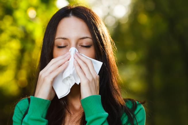 Come combattere le allergie primaverili Allergie primaverili sintomi e rimedi