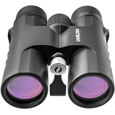 Binocolo Professionale Dehlzer 10x42 HD