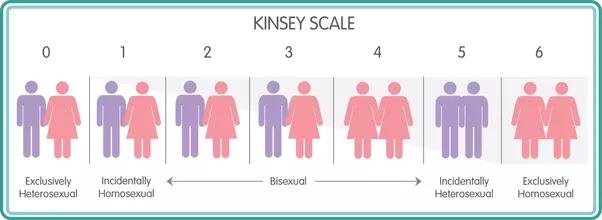 Scala di Kinsey Rappresentazione delle sei categorie della scala di Kinsey