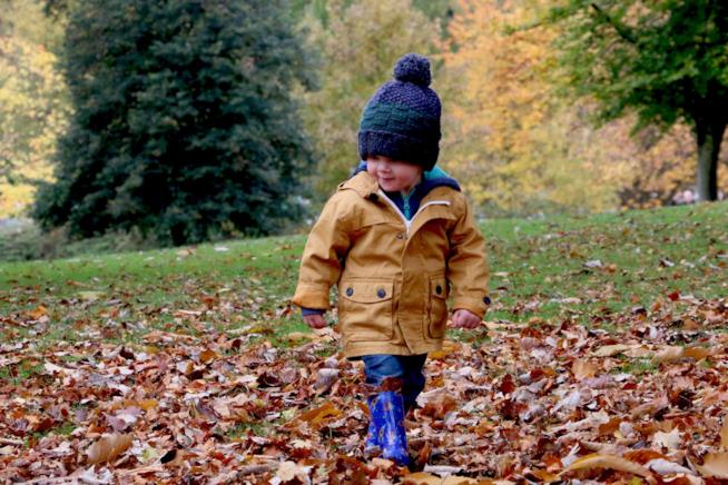 Idee creative per passare del tempo di qualità con i bambini Bambino nelle foglie