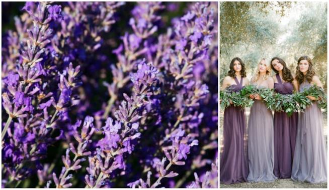 Matrimonio lavanda, damigelle Un collage tra la lavanda e le damigelle